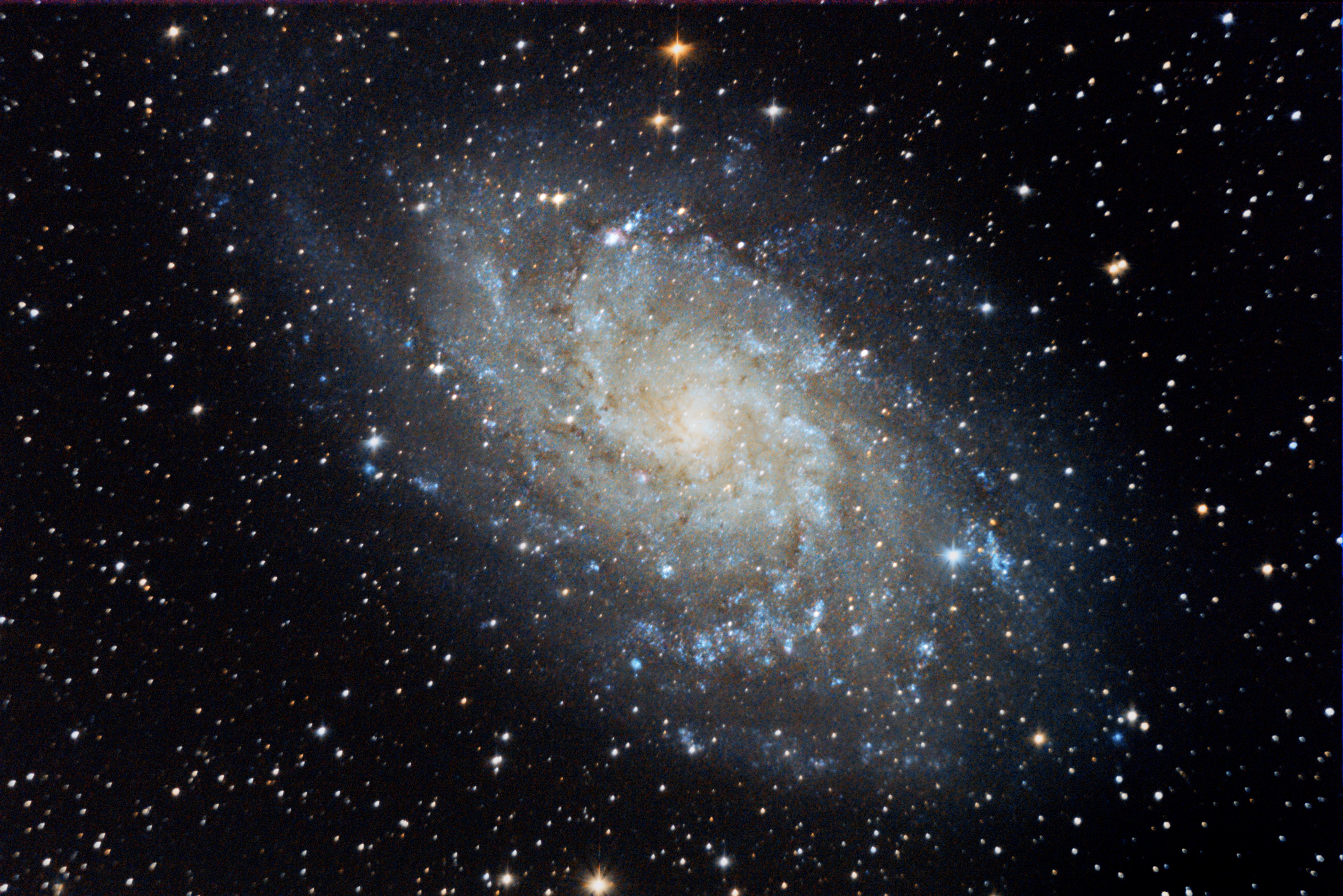 M33